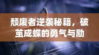 企业优势 第216页