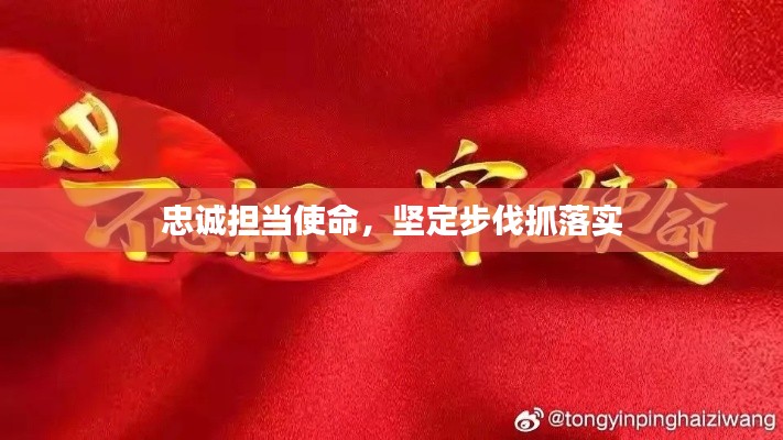 忠诚担当使命,坚定步伐抓落实