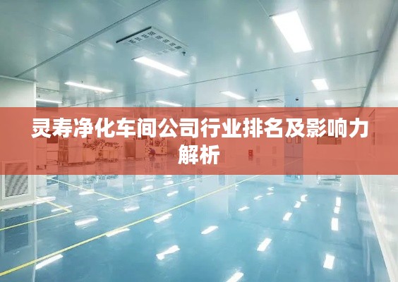 灵寿净化车间公司行业排名及影响力解析