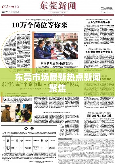 东莞市场最新热点新闻聚焦