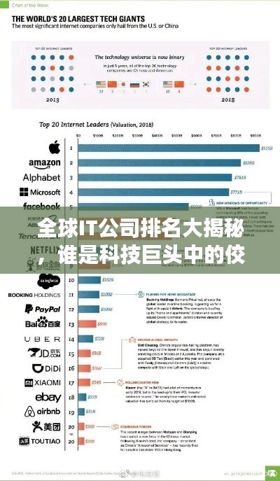 全球IT公司排名大揭秘，谁是科技巨头中的佼佼者？