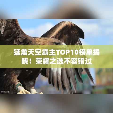 猛禽天空霸主TOP10榜单揭晓!荣耀之选不容错过
