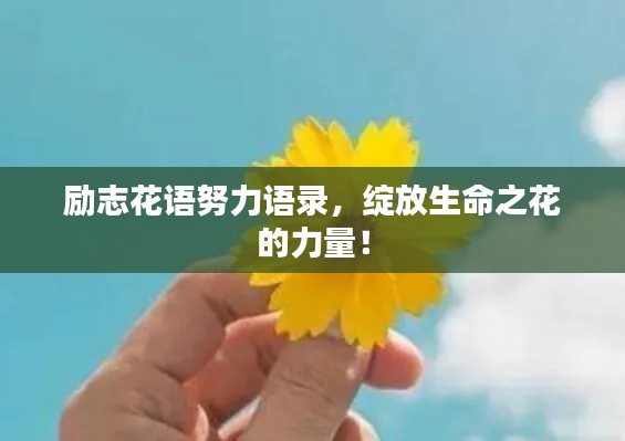励志花语努力语录,绽放生命之花的力量!