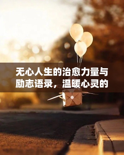 无心人生的治愈力量与励志语录,温暖心灵的话语