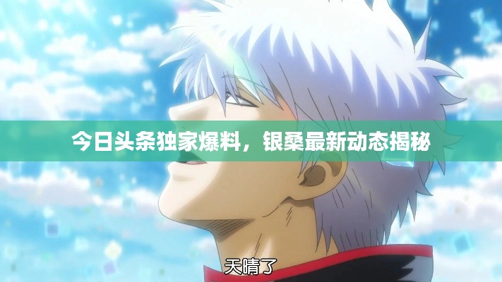 今日头条独家爆料,银桑最新动态揭秘