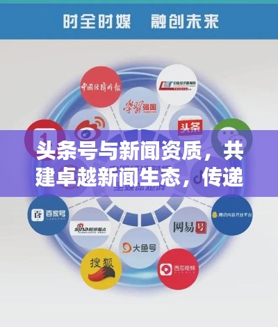 头条号与新闻资质,共建卓越新闻生态,传递高质量资讯