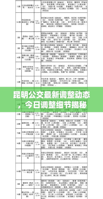 昆明公交最新调整动态,今日调整细节揭秘
