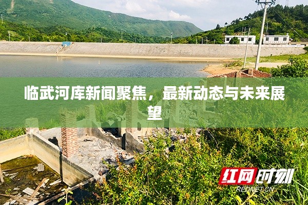 临武河库新闻聚焦,最新动态与未来展望